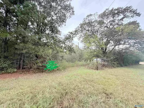 336 Hopper Rd, Eva, AL 35621 photo 1
