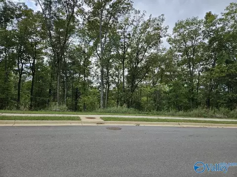 4106 Piedmont Dr, Huntsville, AL 35802