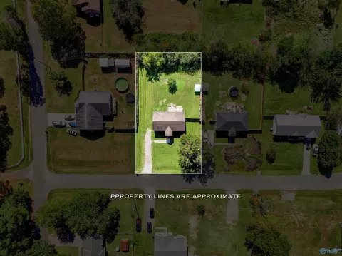396 Maple Cir, Arab, AL 35016 photo 22