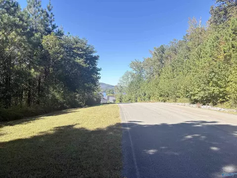 lot122 Lookout Mountain Dr, Scottsboro, AL 35769
