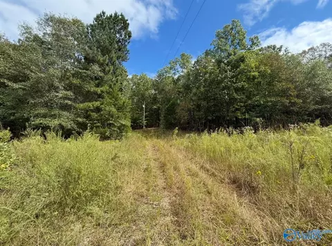 400 County Road 915, Leesburg, AL 35983