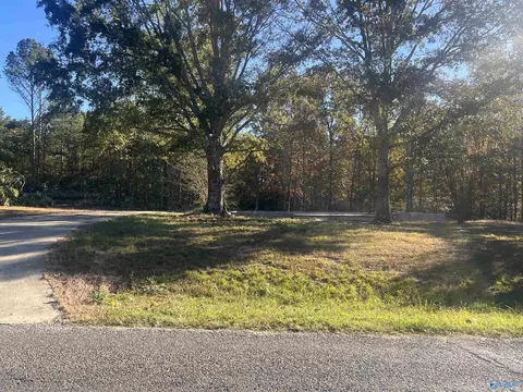 633 County Road 51, Dutton, AL 35744 photo 6