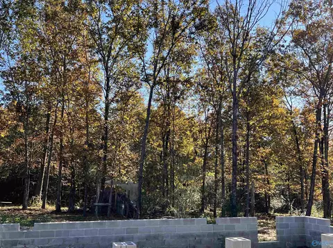 633 County Road 51, Dutton, AL 35744 photo 10