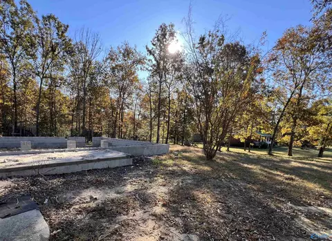 633 County Road 51, Dutton, AL 35744 photo 14