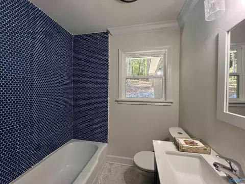 307 Ray St, Centre, AL 35960 photo 43