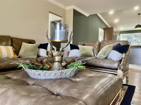 307 Ray St, Centre, AL 35960 photo 21