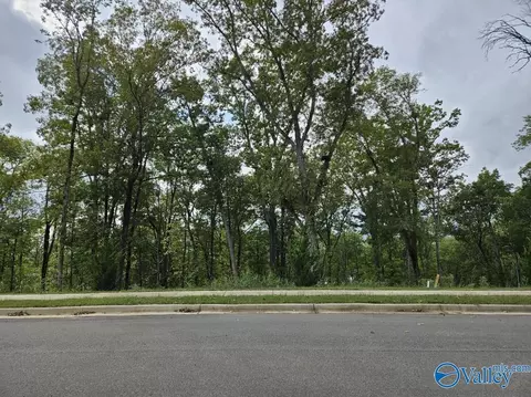 4104 Piedmont Dr, Huntsville, AL 35802