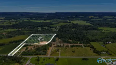 lot S 1 Hwy 40, Henagar, AL 35978