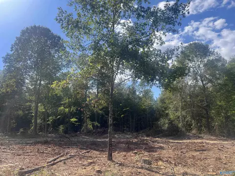 lot2 Tract 3 Summer Breeze Dr, Cedar Bluff, AL 35959