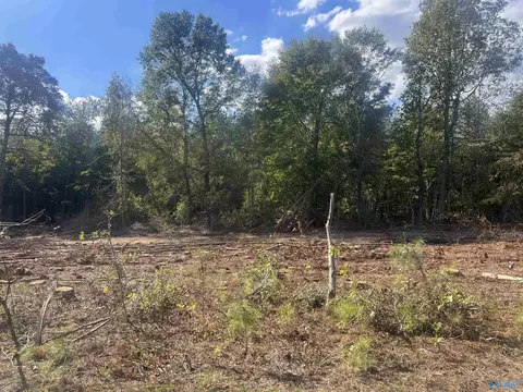 lot3 Tract 3 Summer Breeze Dr, Cedar Bluff, AL 35959