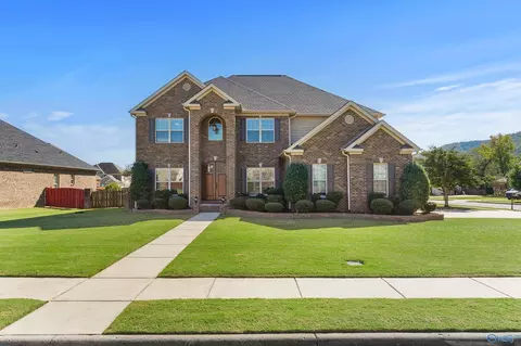 7047 Jacks Creek Ln, Owens Cross Roads, AL 35763