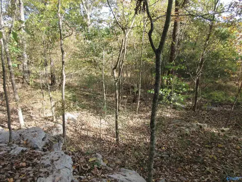 27 Alabama Ave, Scottsboro, AL 35768