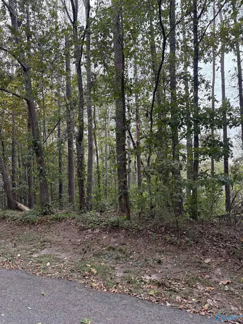 lot105 Creekwood Dr, Cherokee Ridge, AL 35175