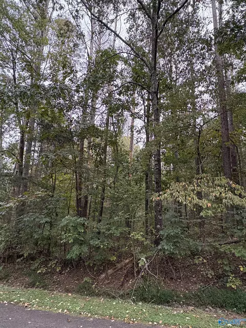 lot131 Pinecrest Dr, Cherokee Ridge, AL 35175