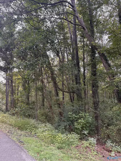 lot114 Creekwood Dr, Cherokee Ridge, AL 35175