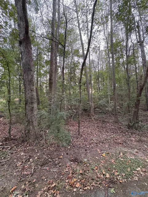 lot124 Evergreen Way, Cherokee Ridge, AL 35175
