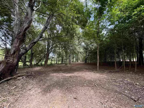 470 Randles Rd, Grant, AL 35747 photo 2