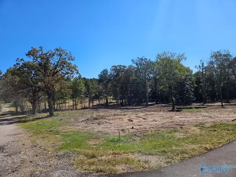 lot1 Pratt Ave, Centre, AL 35960