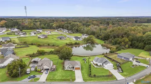 View/Area - 245 Rustic Trce, Grant, AL 35747 photo 2 of 2