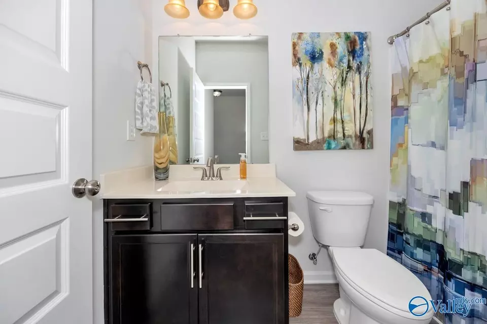Bath - 243 Iron Cir, Meridianville, AL 35759 photo 4 of 4