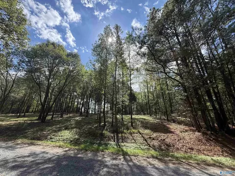 1 County Road 1123, Vinemont, AL 35179