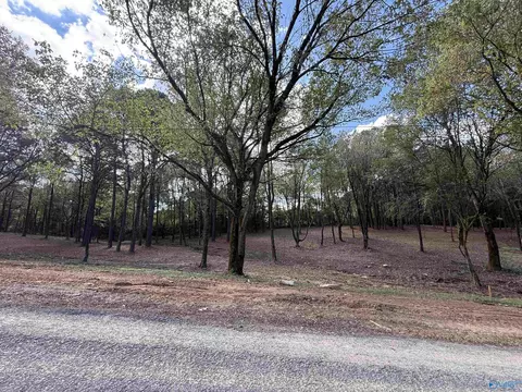 1 County Road 1123, Vinemont, AL 35179