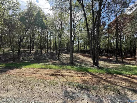 12 County Road 1123, Vinemont, AL 35179