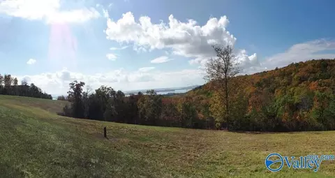 lot50 County Road 767, Cedar Bluff, AL 35959