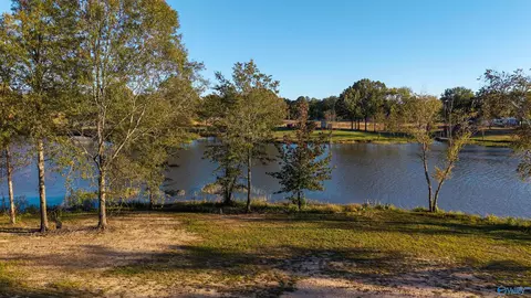 lot24 County Road 115, Cedar Bluff, AL 35959