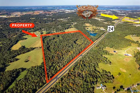125 Acres Hwy 24, Trinity, AL 35673