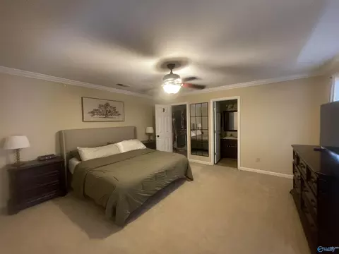 178 County Road 378, Trinity, AL 35673 photo 12