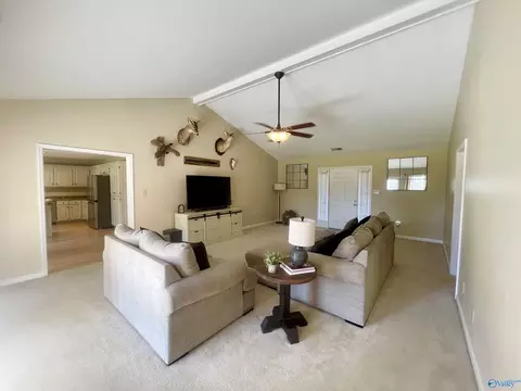 178 County Road 378, Trinity, AL 35673 photo 4