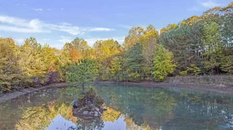 10 57 Acres County Road 166, Fort Payne, AL 35967