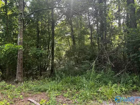 6 7 Leslie Willis Rd, Somerville, AL 35670