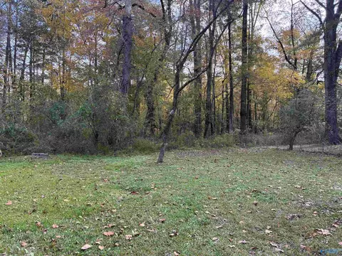 Exterior - 1383 Lasseter Rd, Southside, AL 35907 photo 6 of 7