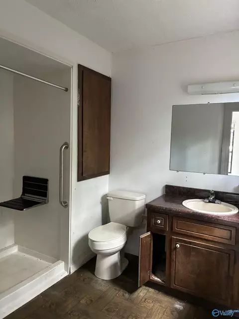 Bath - 1383 Lasseter Rd, Southside, AL 35907 photo 2 of 3