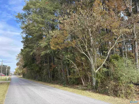 Other - 1383 Lasseter Rd, Southside, AL 35907 photo 4 of 8