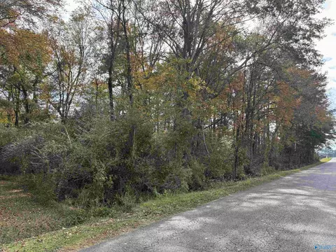 Other - 1383 Lasseter Rd, Southside, AL 35907 photo 3 of 8