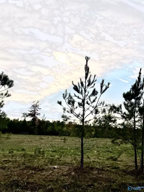 lot11 County Road 39, Piedmont, AL 36272