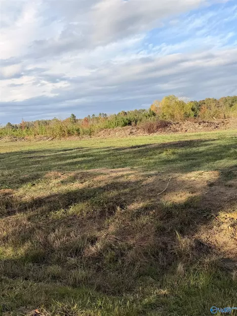 lot13 County Road 39, Piedmont, AL 36272