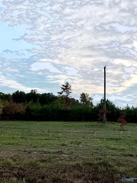 lot12 County Road 39, Piedmont, AL 36272