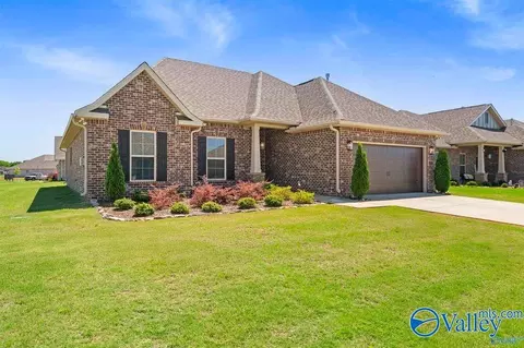 100 Tanner Drake Ct, New Market, AL 35761