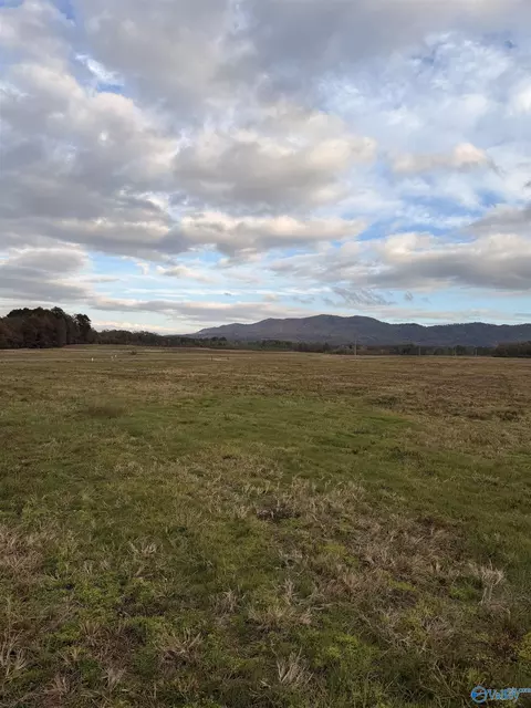 lot51 County Road 32, Piedmont, AL 36272