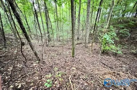 3 78 Acres Flicker Way, Athens, AL 35614