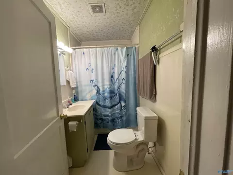 Bath - 138 Azalea St, Steele, AL 35987 photo 1 of 2
