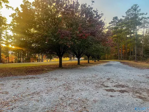 2157 County Road 369, Trinity, AL 35673 photo 19