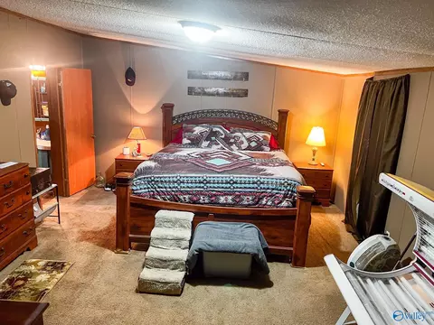 2157 County Road 369, Trinity, AL 35673 photo 16
