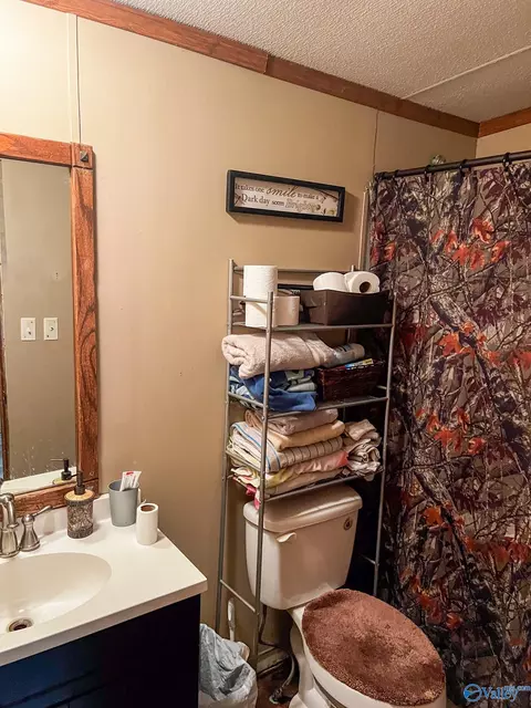 2157 County Road 369, Trinity, AL 35673 photo 14