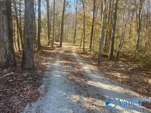 Other - 3107 County Road 217, Trinity, AL 35673 photo 15 of 19