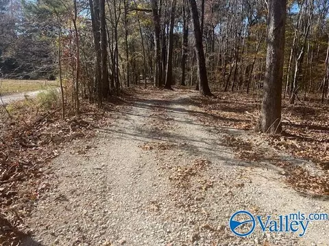 Other - 3107 County Road 217, Trinity, AL 35673 photo 16 of 19